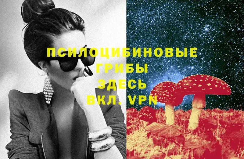 Псилоцибиновые грибы Psilocybine cubensis  где купить наркотик  Баймак 